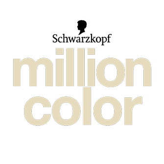 Million Color logo
