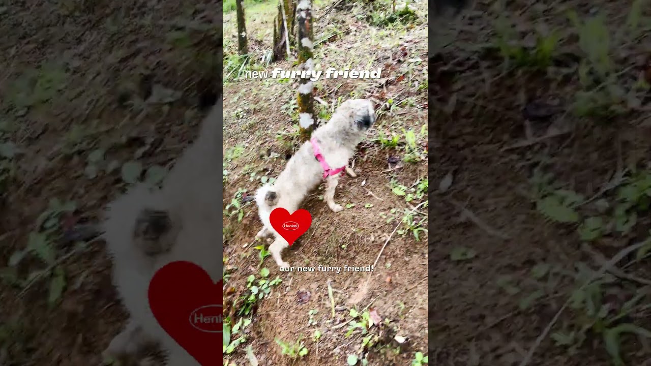 YouTube Thumbnail Come with us to a tree-planting activity! (Thumbnail)