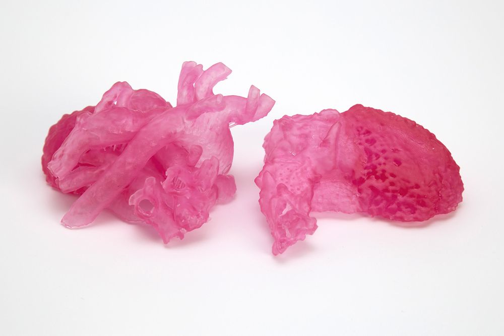 Application example of the collaboration of Henkel and NewPro3D: soft tissue anatomical model of a heart