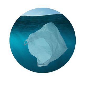 a plastic shopping bag floating in the water