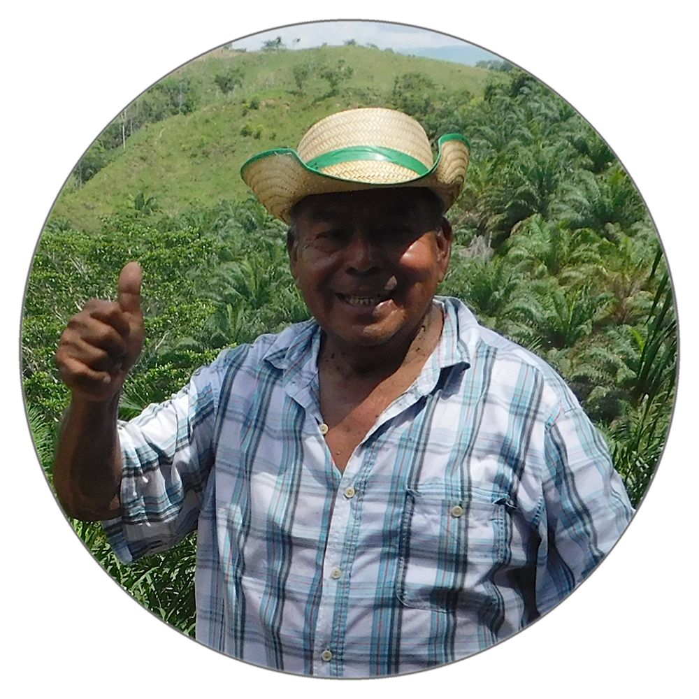 Fausto Martínez, Smallholder Palm Oil Farmer