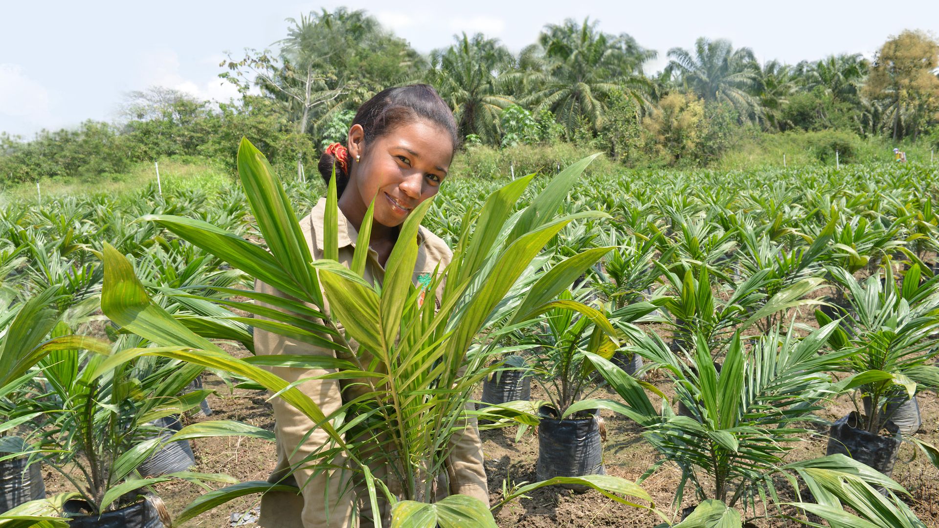 young woman with oil palms