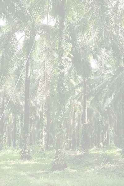 Background Stories