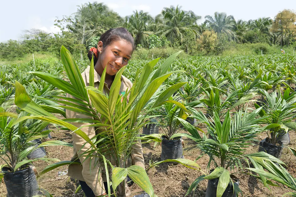 A female palm oil smallholder on a plantation