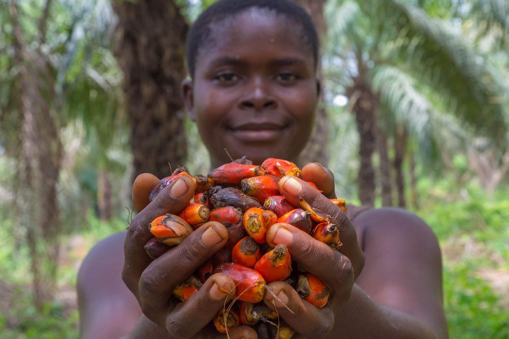 Promoting sustainable palm oil: A woman is holding palm fruits in her hands