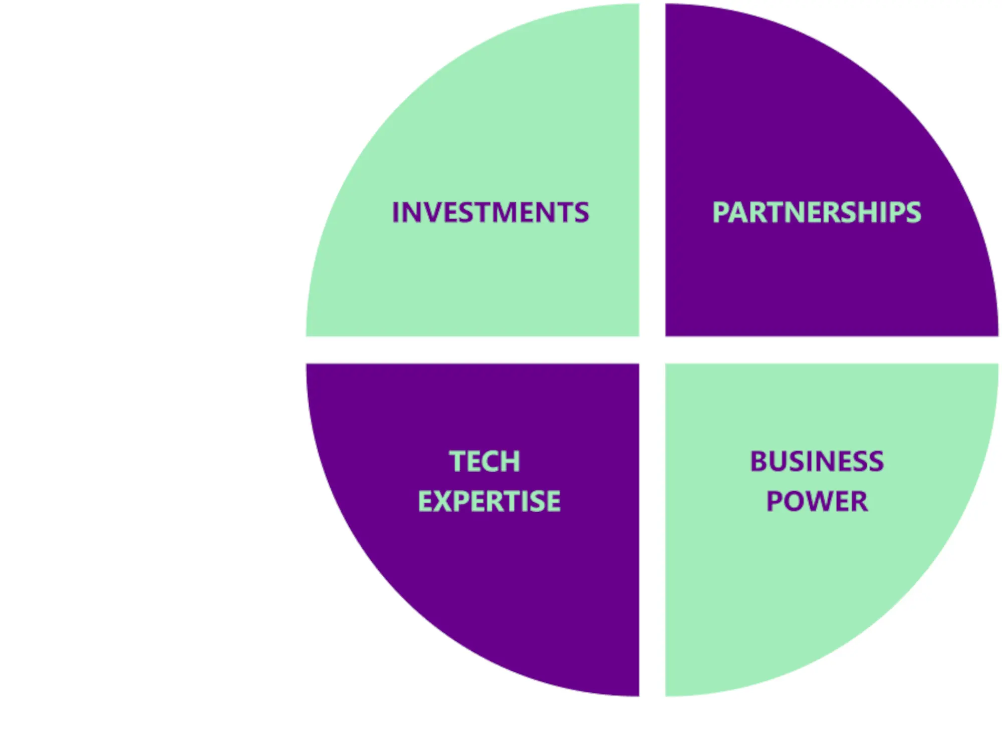 A circle split into four even pieces. Two of them are purple and two are green with text of the opposite color. They read from top left going clockwise: INVESTMENT (t.l.), PARTNERSHIP (t.r.), BUSINESS EXTENSION (b.r.), dx TECH SUPPORT (b.l.).