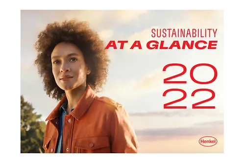 SUSTAINABILITY AT GLANCE_SRB_.pdfPreviewImage (1)