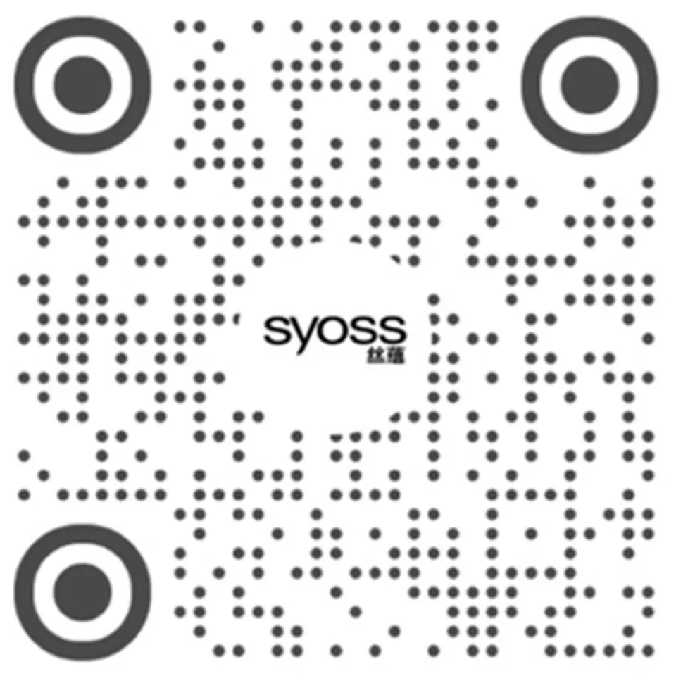 
丝蕴 syoss