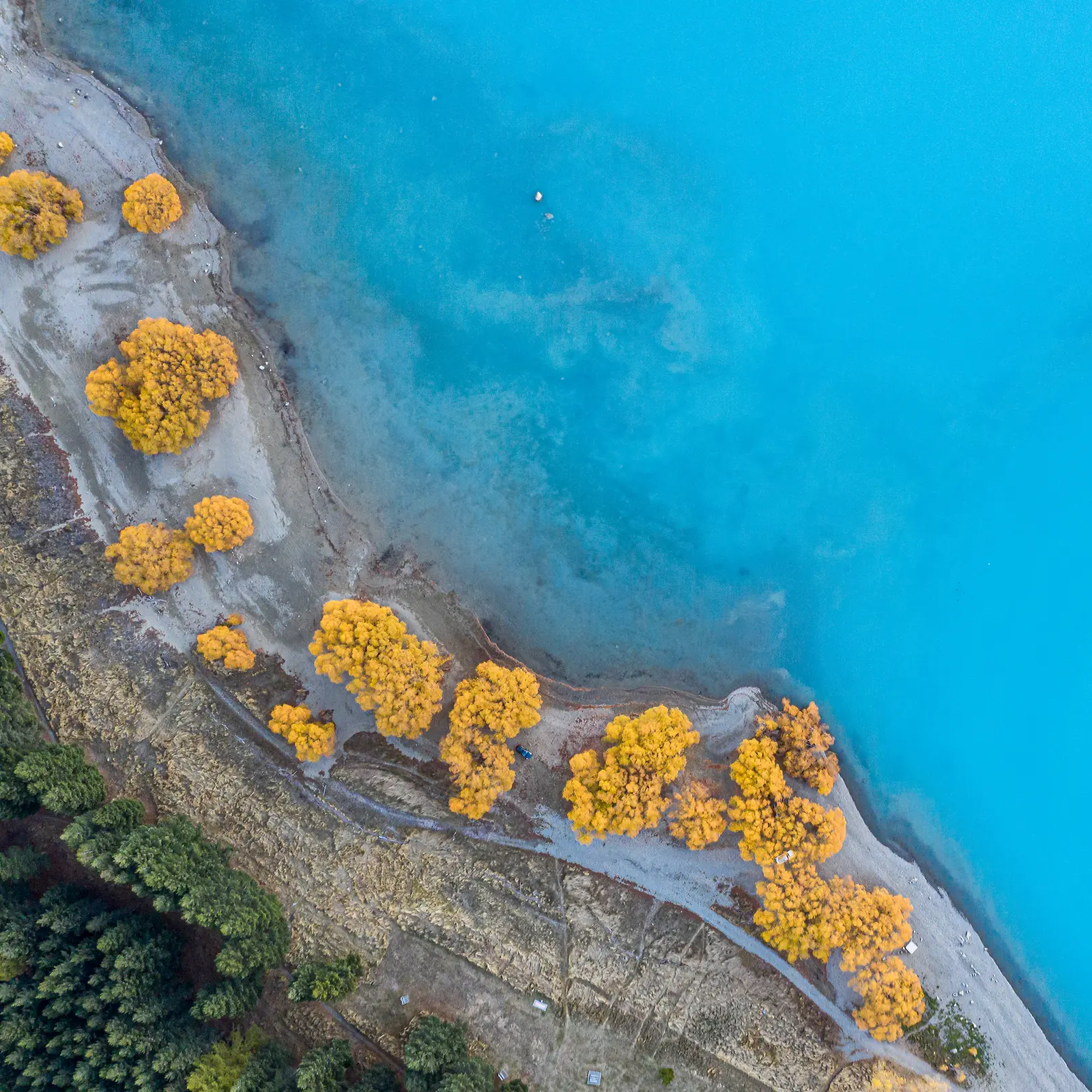A view from above onto a green forest landscape