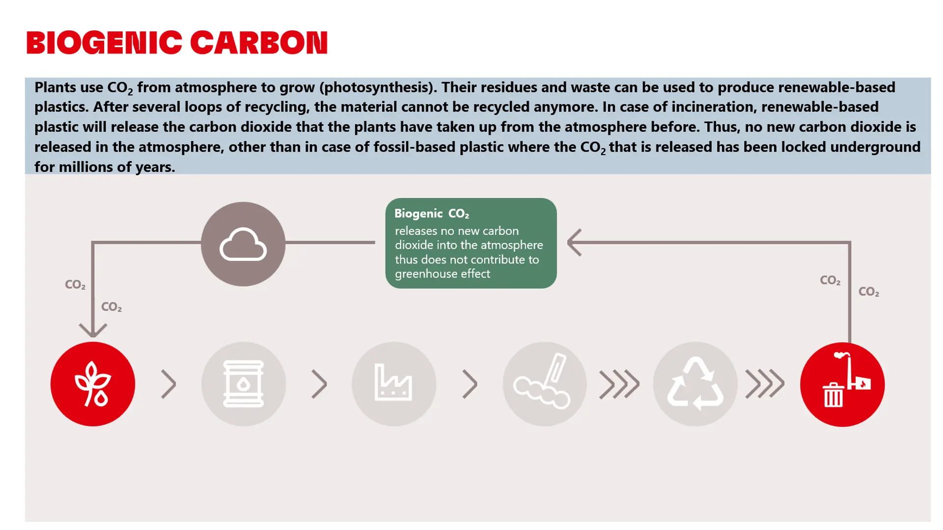 Graphic explaining CO~2~ footprint of renewable raw materials