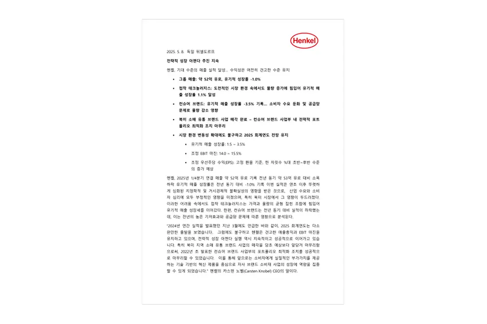 2025-q1-quarterly-report-KR.pdfPreviewImage