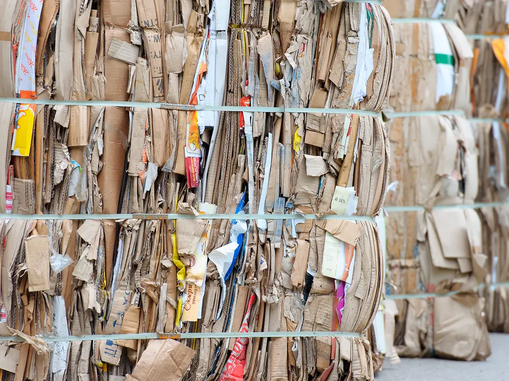 Several Ceresit product buckets displayed against a green background, including three pink-labeled buckets in the back and one blue‑labeled bucket in the front.