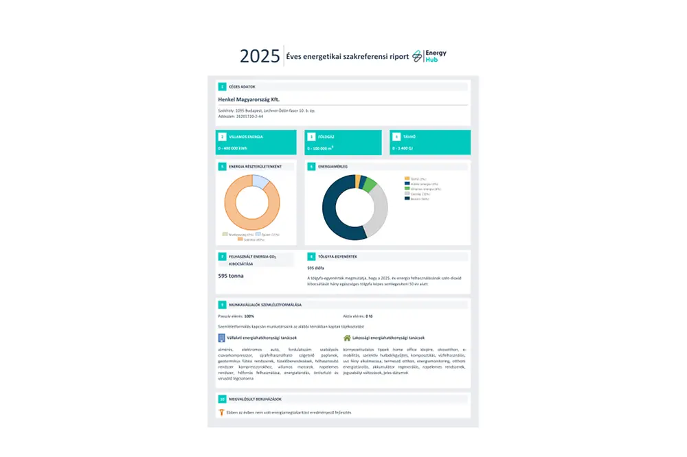 Energy Report 2025.pdfPreviewImage