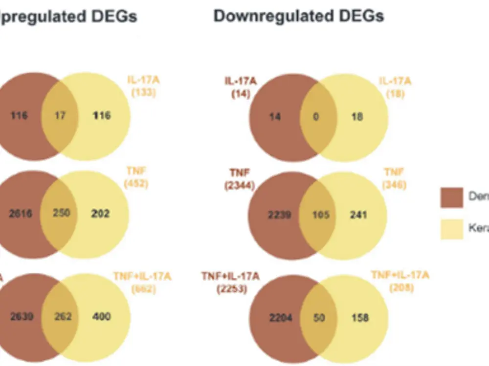 
Figure from: Svraka et al., Exp Dermatol 2026; https://doi.org/10.1111/exd.70232