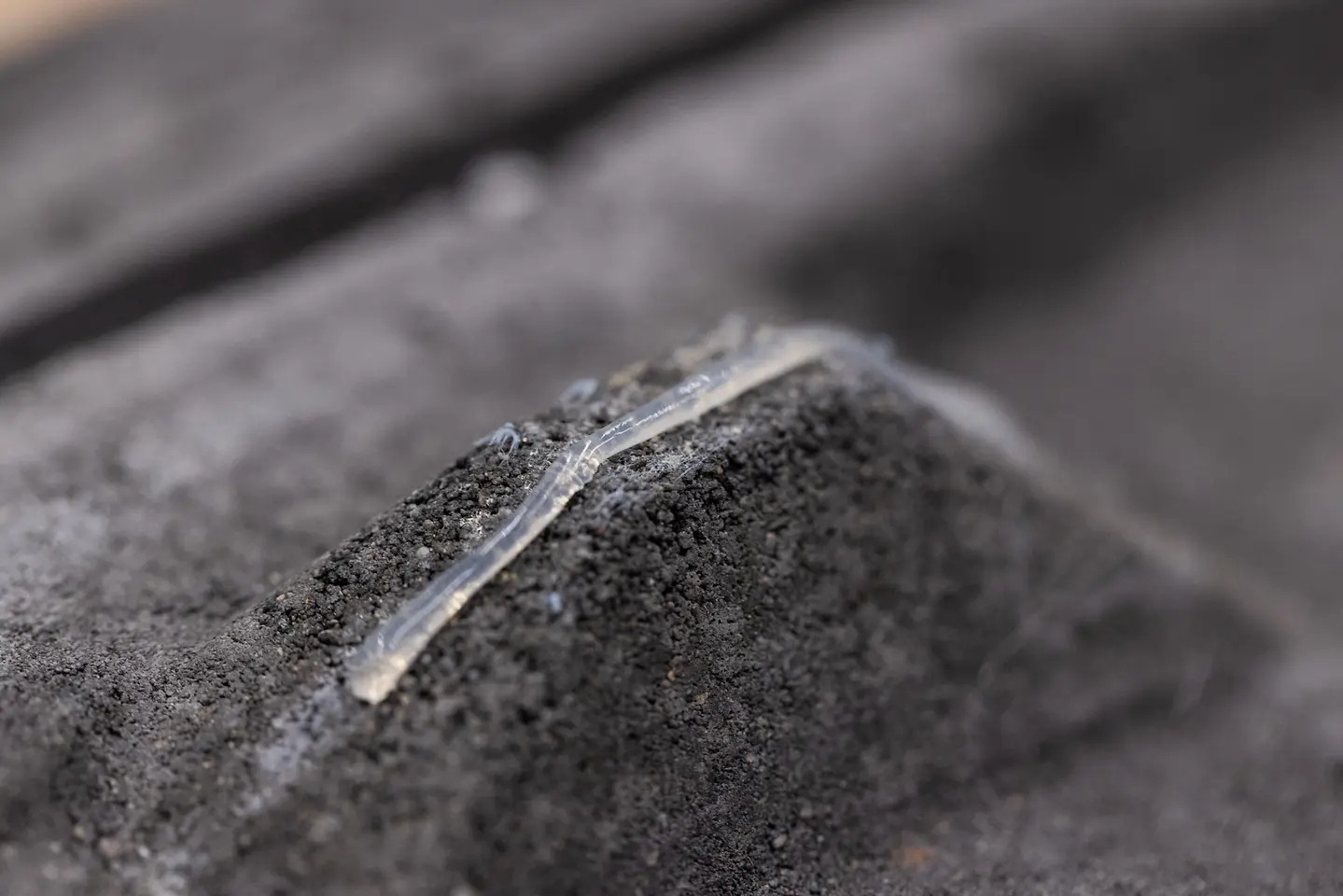 
The hot-melt adhesive can be applied fully automatically. In tests, Henkel achieved a throughput of up to 140 bricks per minute. 