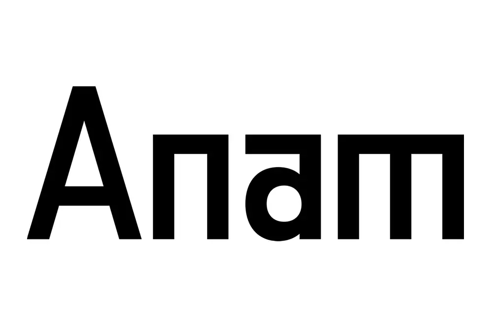 Anam AI Logo