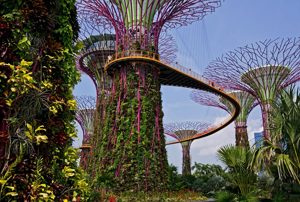 Gardens by the Bay, a tourist attraction in Singapore, made its walkways and staircases safer by applying Loctite BigFoot Anti-Slip.