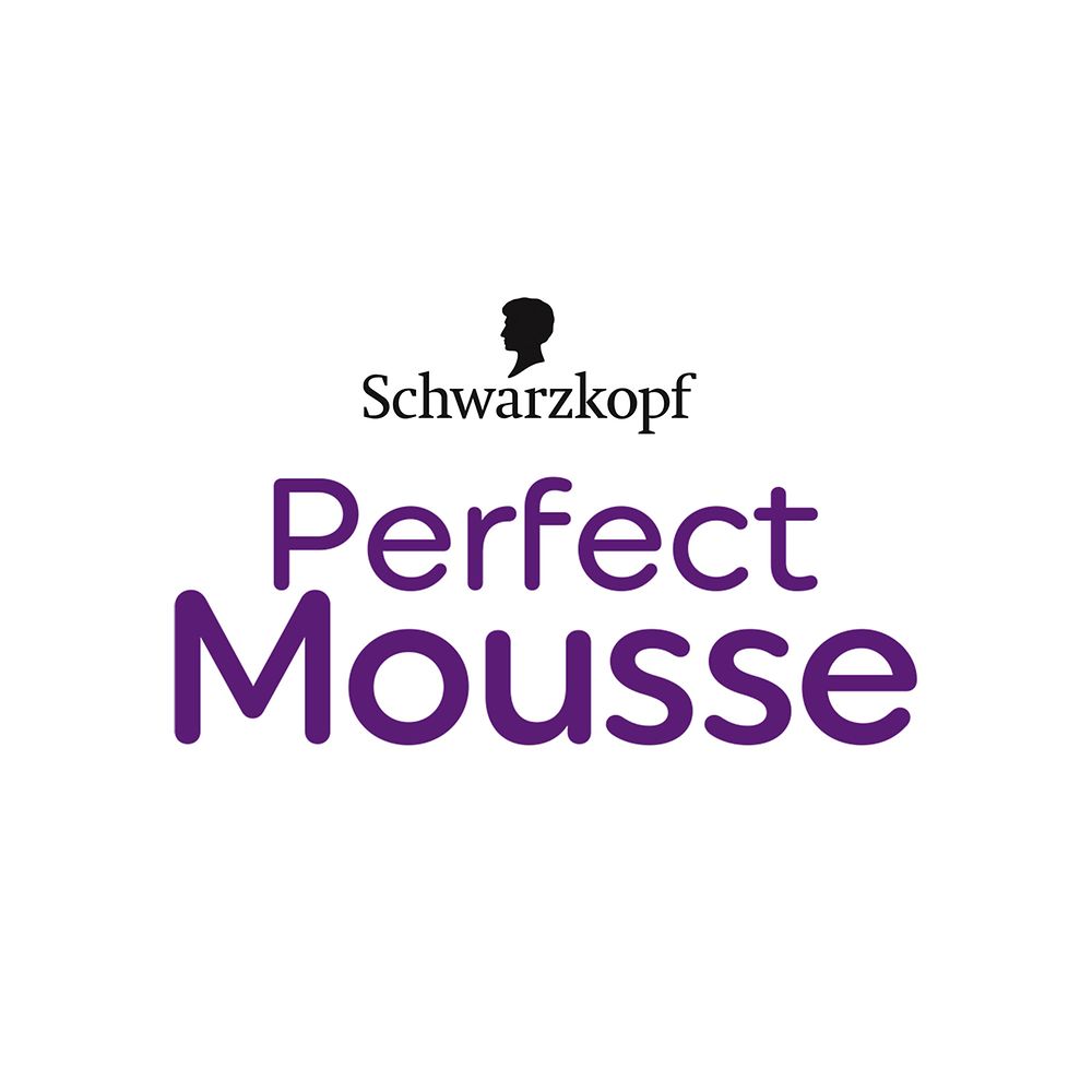 Perfect Mousse logo
