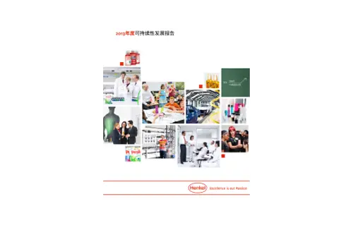 2013-Sustainability-Report-zh-CN.pdfPreviewImage