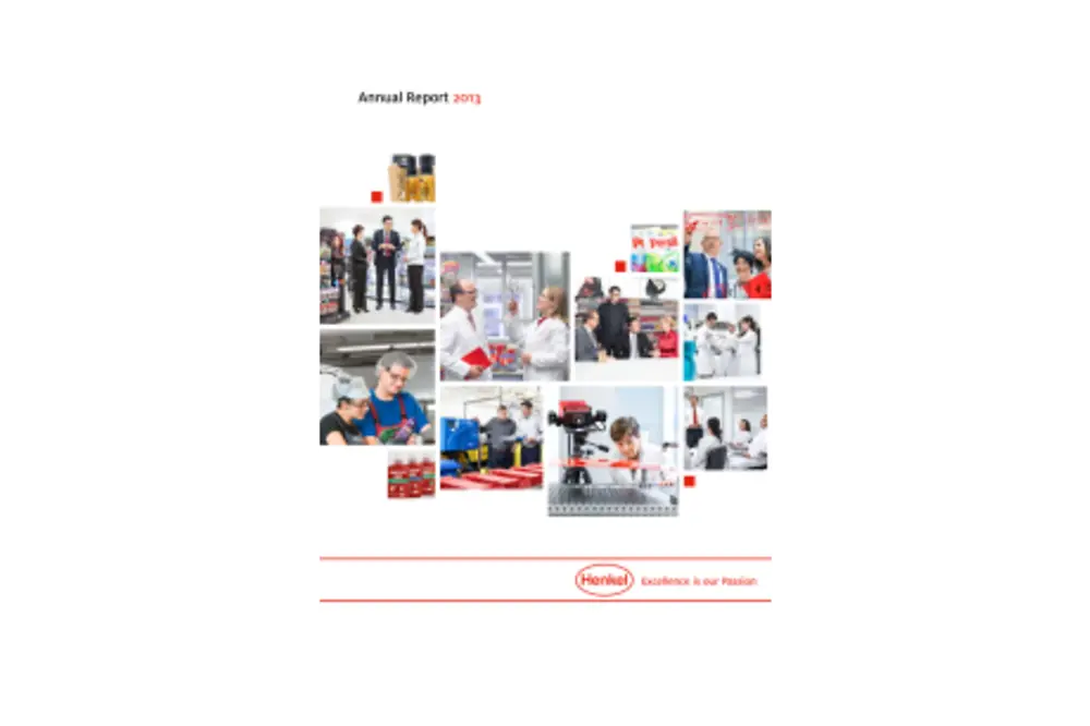 2014-02-20-Rapport Annuel 2013.pdfPreviewImage