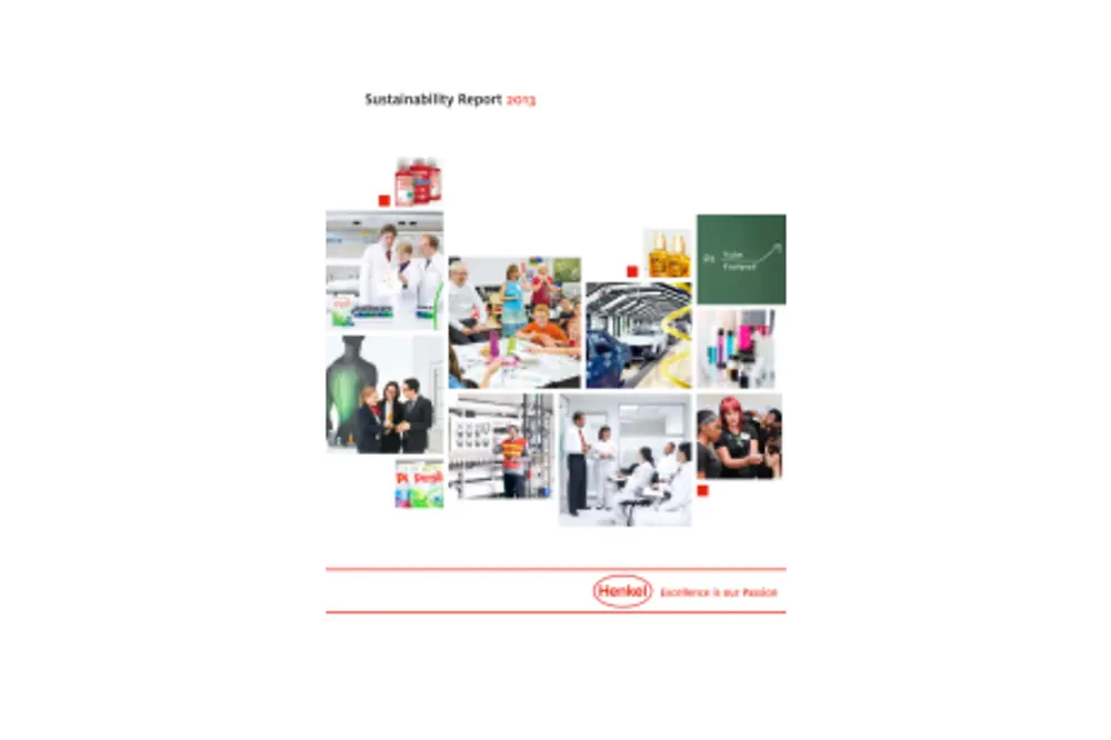 2014-02-20-Rapport Développement Durable 2013.pdfPreviewImage