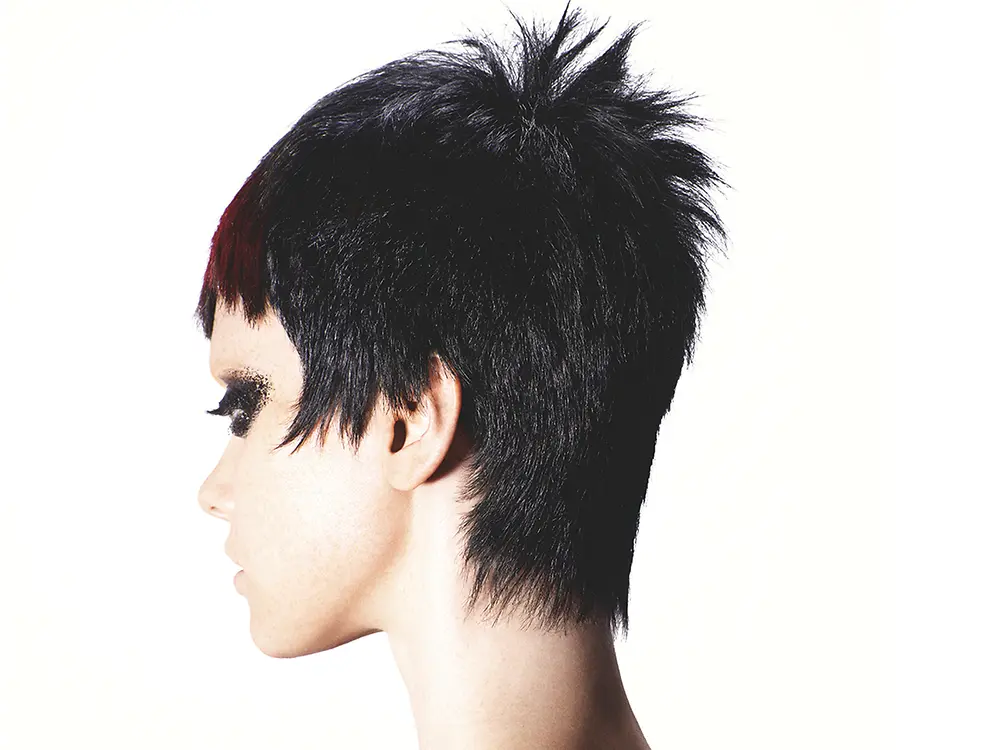 schwarzkopf-model