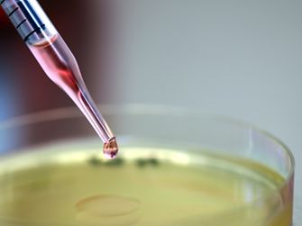 Phenion cell culture medium