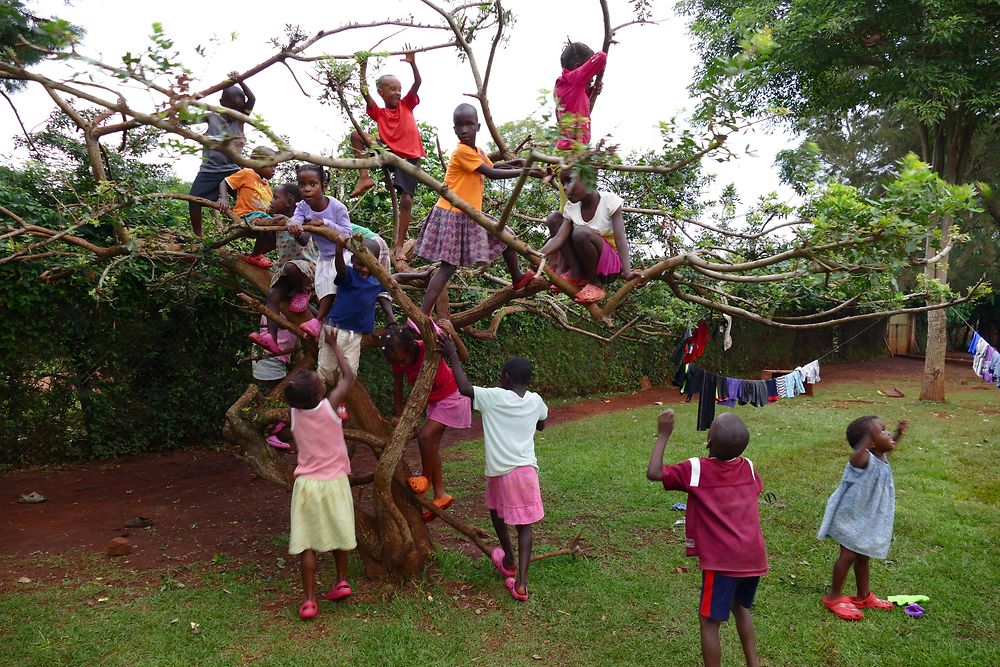 

How many children fit onto one tree? For the Sonrise children, trees are exciting play things.