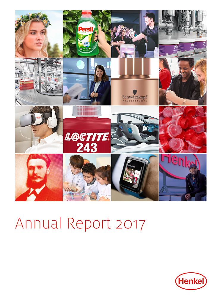 Финансовый отчет за 2017 год (обложка)
