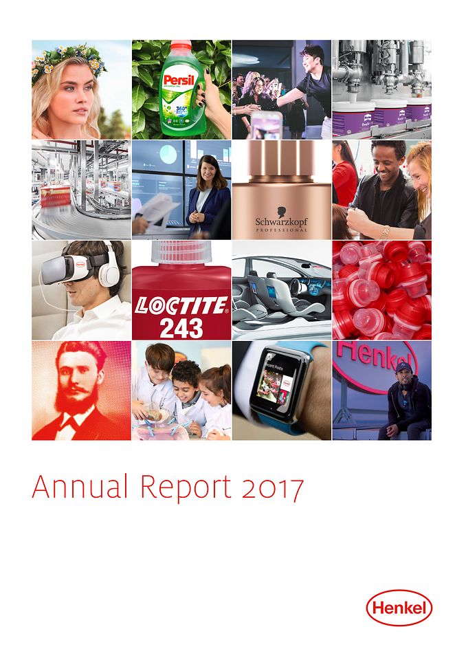 2017年度报告 (封面)
