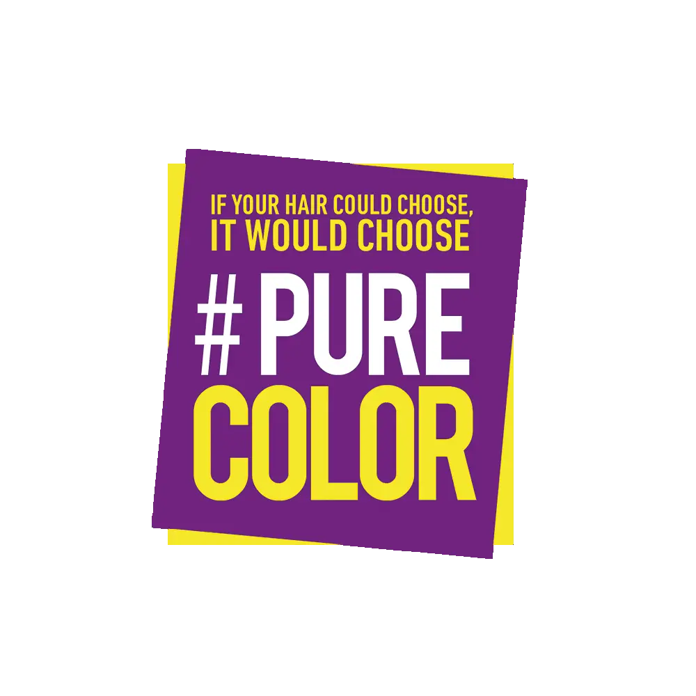 pure_color_logo