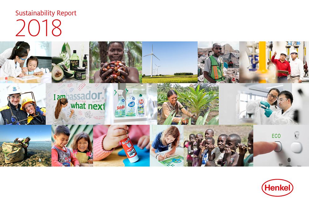 Отчет по устойчивому развитию 2018 (обложка)