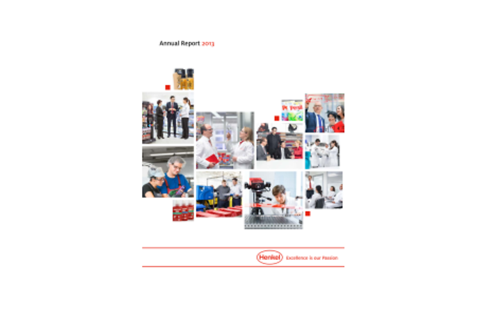 2013-annual-report-en-COM.pdfPreviewImage (1)