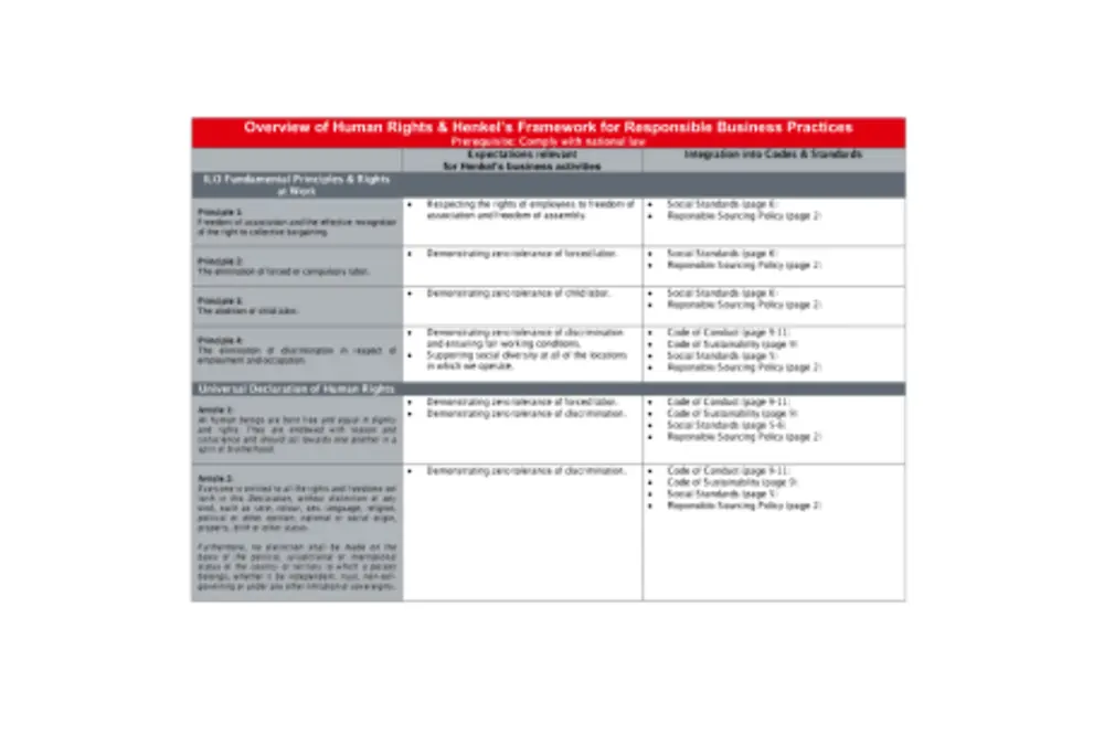 Human-Rights-and-Henkel-Framework_EN.PDF.pdfPreviewImage (1)