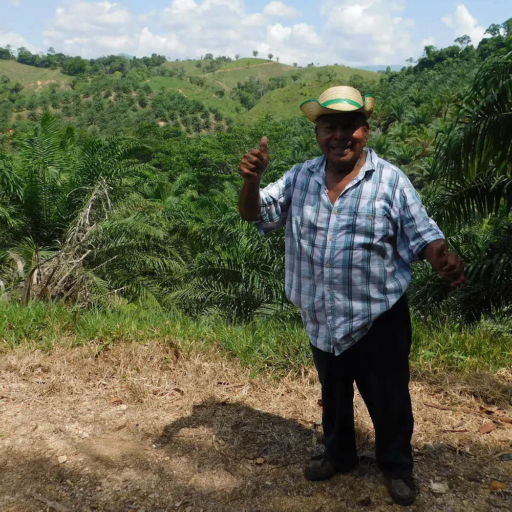 Solidaridad participant with his palm fields