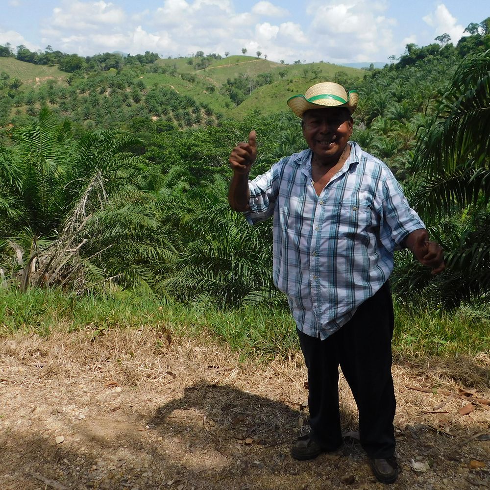 Solidaridad participant with his palm fields