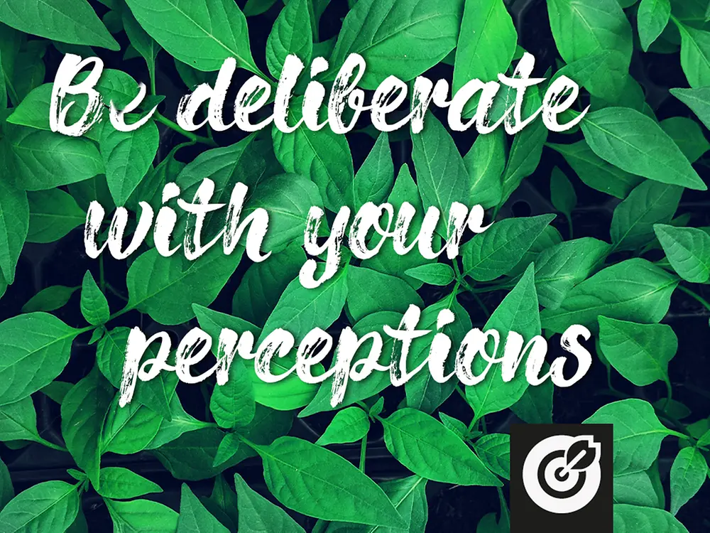 Be deliberate with your perceptions