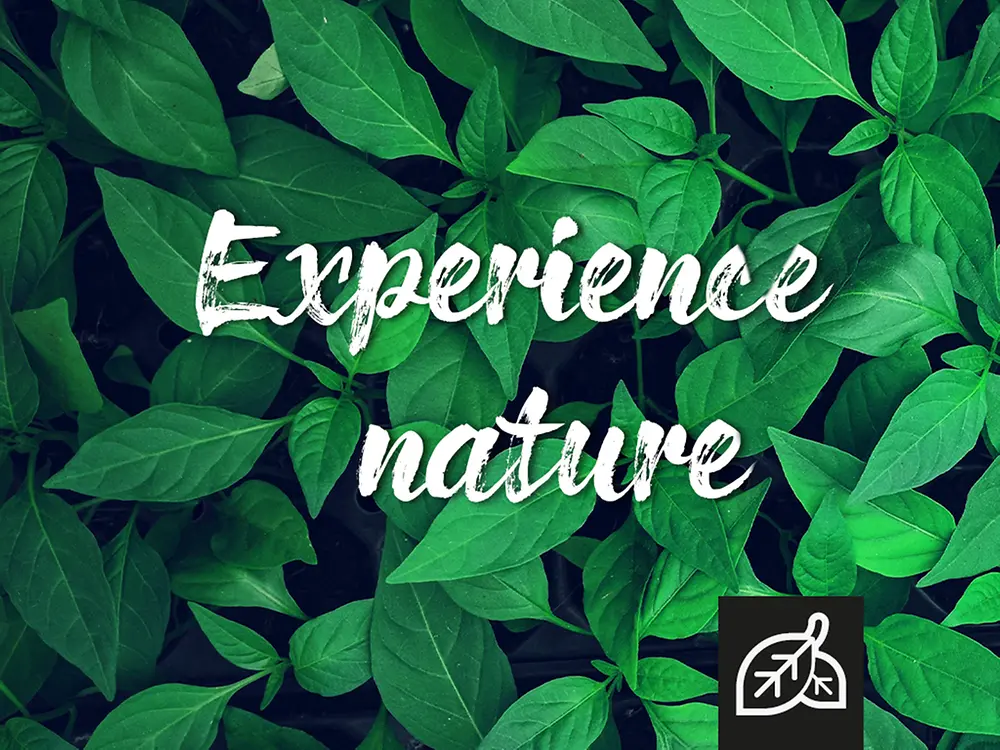 Experience nature